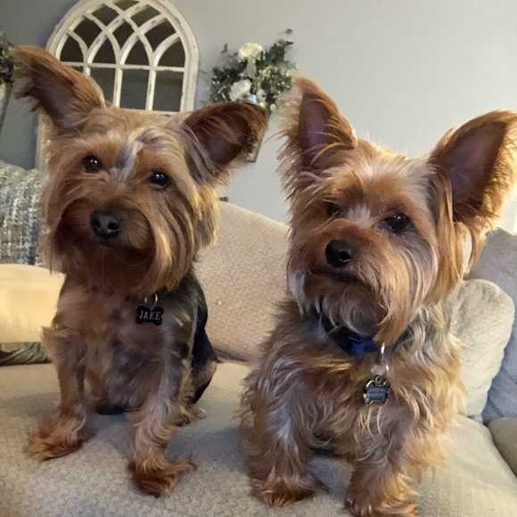 Meet your Posher! - Picture 7 of 7